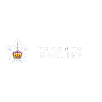 Logo Hockey Sticker by Toronto Marlies