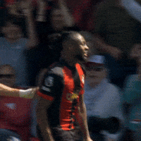 Happy Premier League GIF by AFC Bournemouth