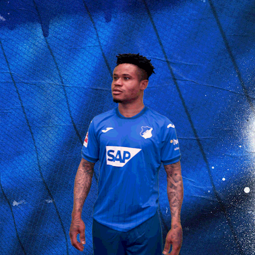 Sport Bundesliga GIF by TSG Hoffenheim