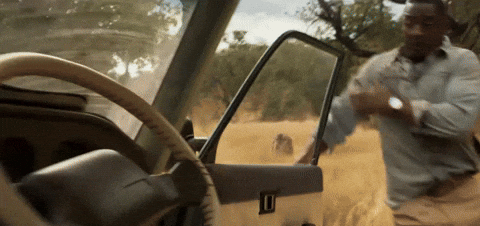 Lion Attack GIF by Beast
