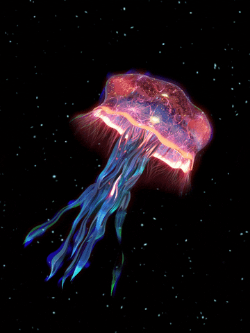 asyaakdogan giphyupload GIF