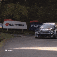 Japan Fans GIF by FIA World Rally Championship