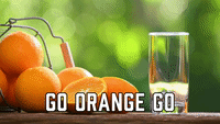 Go Orange Go