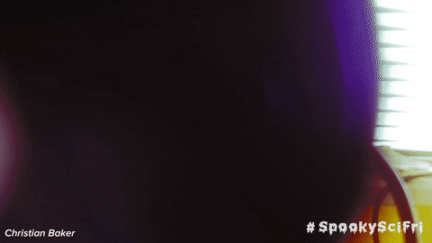 zombie fly GIF by Science Friday