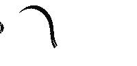 Padel Sticker by XNRGY