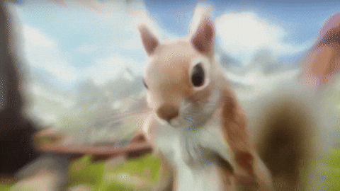 Fun Thumbs Up GIF by Magic Eden