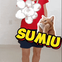 Sumiu GIF