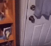 Door Showing GIF