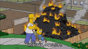 homer simpson GIF