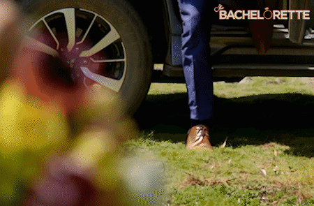 bacheloretteau GIF by The Bachelorette Australia