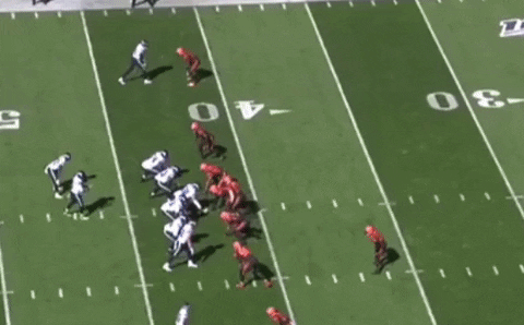 zachhicks giphygifmaker GIF