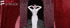 natalie wood hello GIF by FilmStruck
