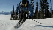 Snow Sliding GIF by Red Bull