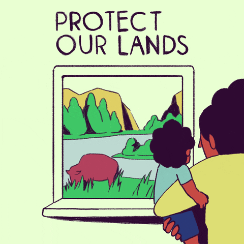 National Parks Forest GIF by INTO ACTION