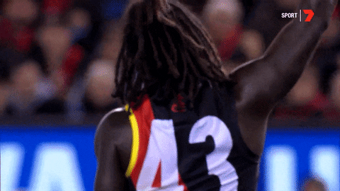 sport afl GIF by Essendon FC