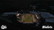 Football Stadium GIF by Montana Grizzlies