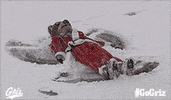 UMGrizzlies montana grizzlies monte gogriz GIF