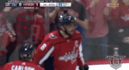 happy ice hockey GIF by NHL