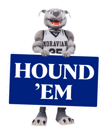 Hounds Houndem Sticker by Moravian University
