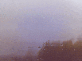 film photography love GIF by Jano Soto Cossio