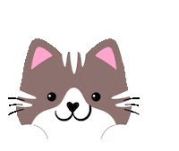 Cat Gato Fofo Sticker