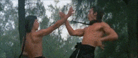 martial arts fight GIF by Shaw Brothers