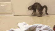 GIF by AT&T