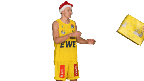 Ewe Baskets Sport Sticker by EWE Baskets Oldenburg