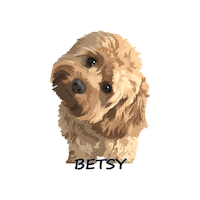 Cleos Pals Sticker