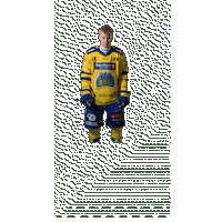 Jubel Sticker by Storhamar Hockey
