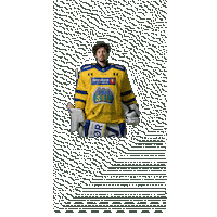 Jubel Sticker by Storhamar Hockey