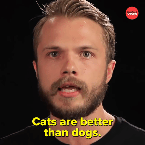 Cats > Dogs