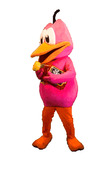 Weekend Guitar Sticker by FLS Company Nederland N.V.