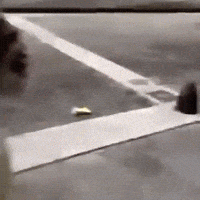 Granate GIF