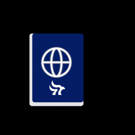 LOIGICA usa passport loigica passportusa GIF