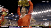 National Football League GIF by NFL