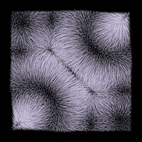 black and white loop GIF by roberthruska