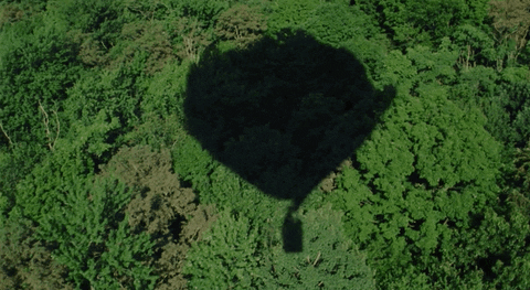 The Story So Far Pop Punk GIF by Pure Noise Records