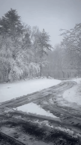 'Lots of Limbs Down': Winter Storm Leaves Thousands Without Power in New Hampshire