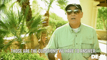 Those Are The Qs We Have To Answer
