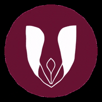 cartoriodebalsas maranhao balsas cartorio cartorios GIF