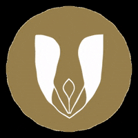 cartoriodebalsas maranhao balsas cartorio cartorios GIF