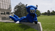University At Buffalo Mascot GIF by ubuffalo