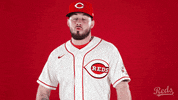 Baseball Mlb GIF by Cincinnati Reds