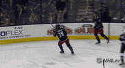 happy ice hockey GIF by NHL