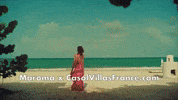 Riviera Maya Fun GIF by Casol