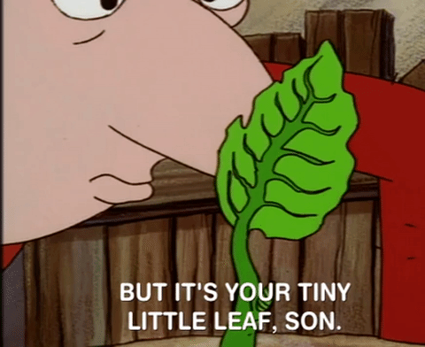hey arnold nicksplat GIF