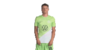 Germany Football Sticker by VfL Wolfsburg