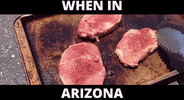 GIF by Mashable