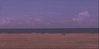 run away no way GIF